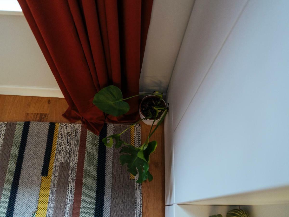 Boutique Luxury Flats - La Maison Du Petit Paris 부쿠레슈티 외부 사진